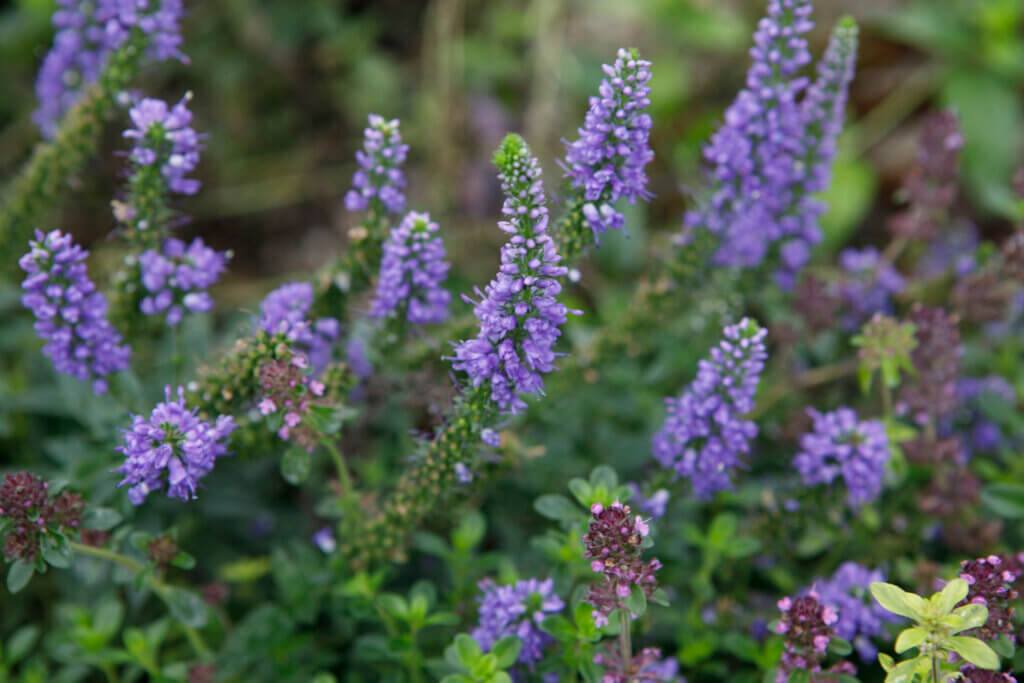 VIECON Messe Wien Innenhof